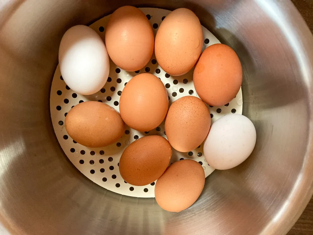 茶色と白色の生卵がステンレスのボウルに入っている状態