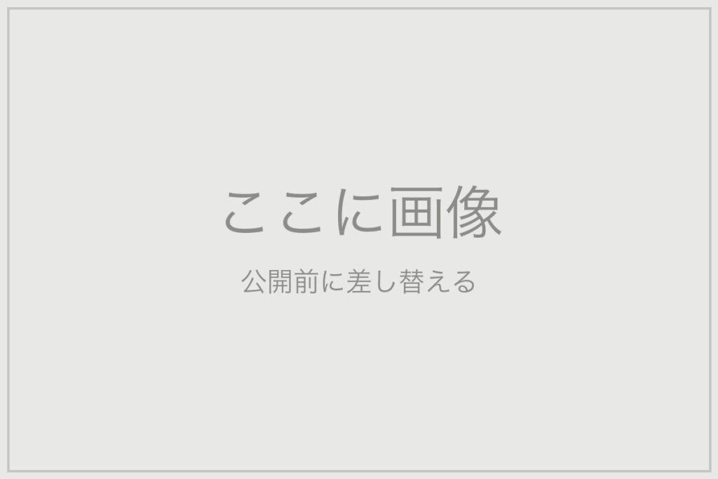 画像の置き場(公開前に差し替える)